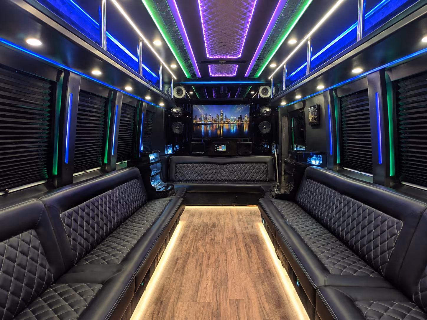 san clemente 25 passenger party bus interior